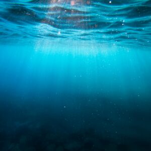 In Person: Trauma, Stress and Moving Through - August 14, 2026